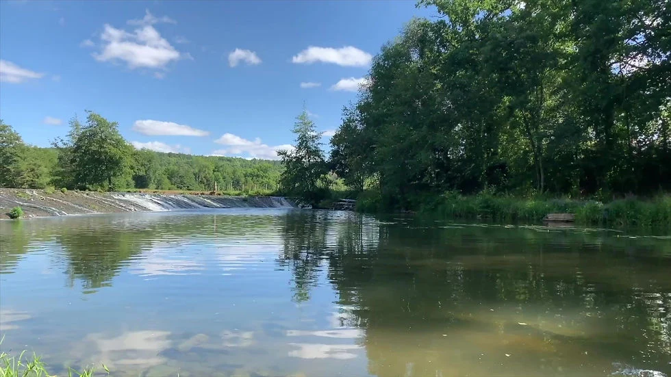 L’eau et les berges arborées de La Petite Forge
